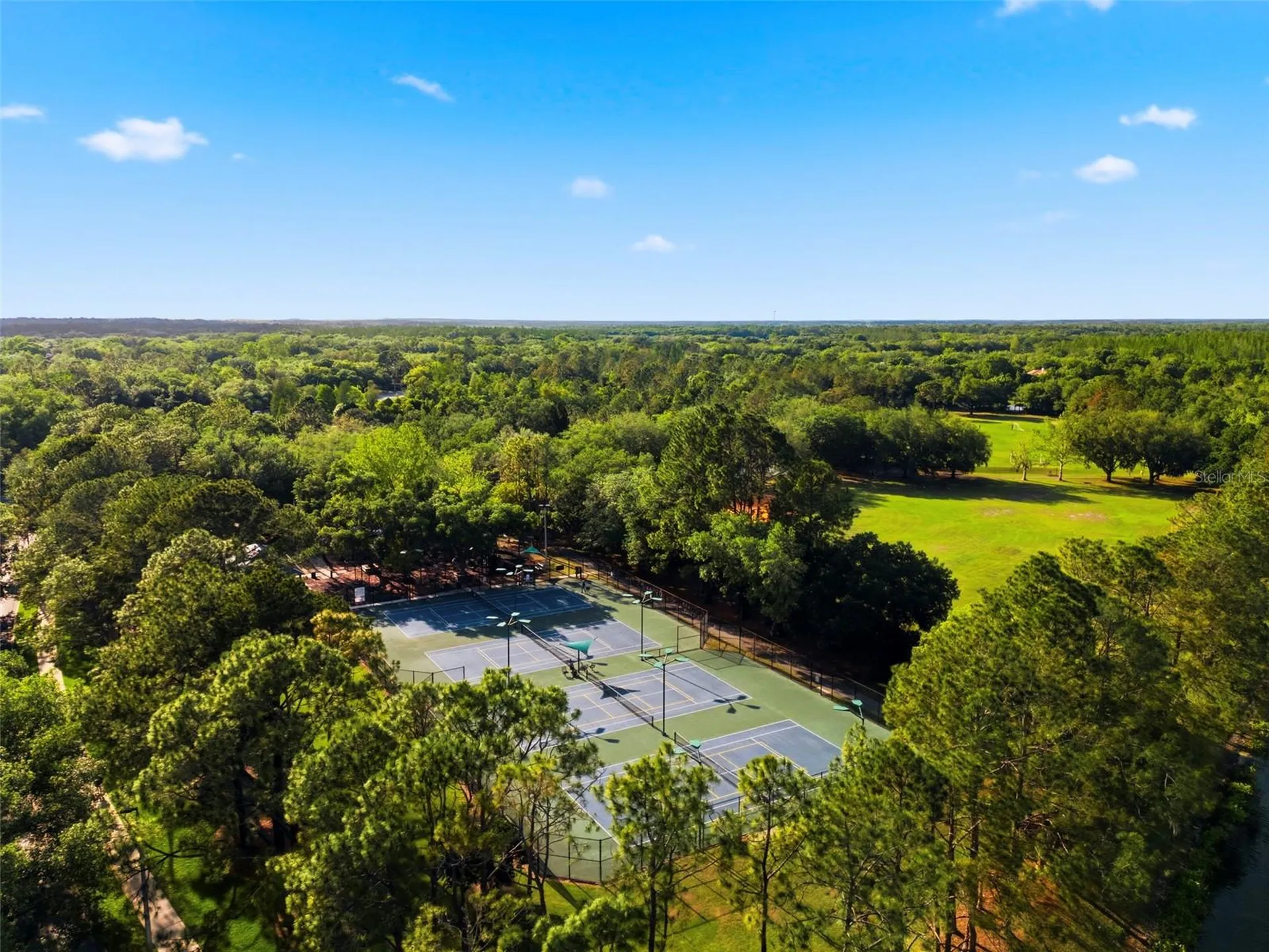 9207 Meadow Lane Court Tampa FL 33647