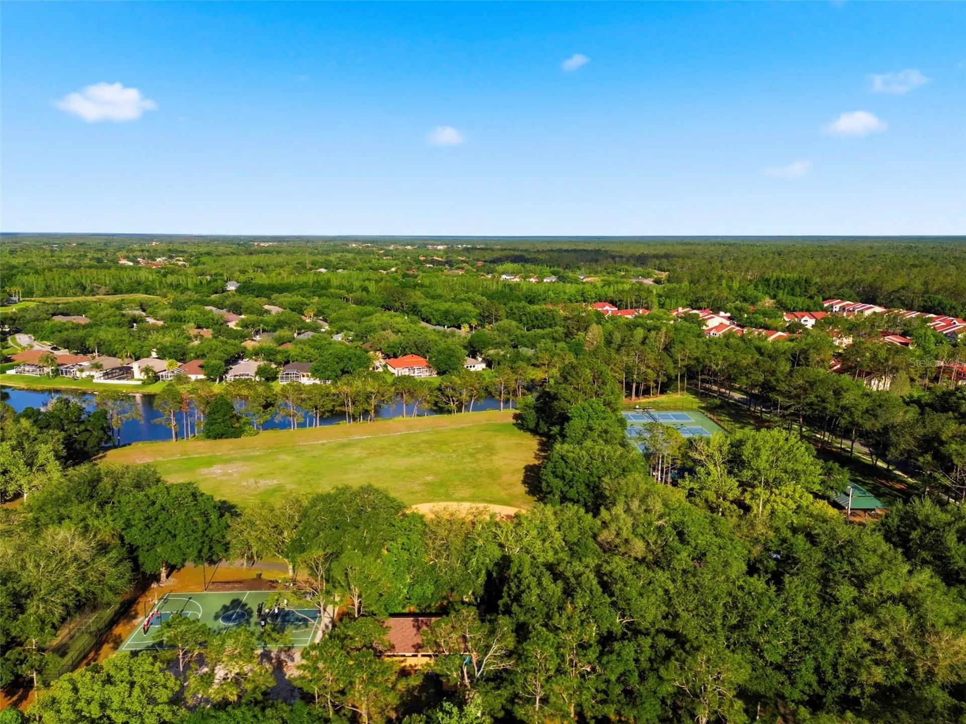 9207 Meadow Lane Court Tampa FL 33647