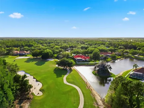 9207 Meadow Lane Court Tampa FL 33647