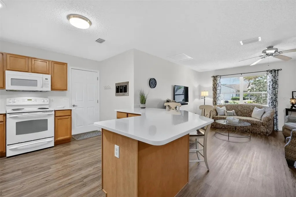 1539 Hollyberry Place The Villages FL 32162