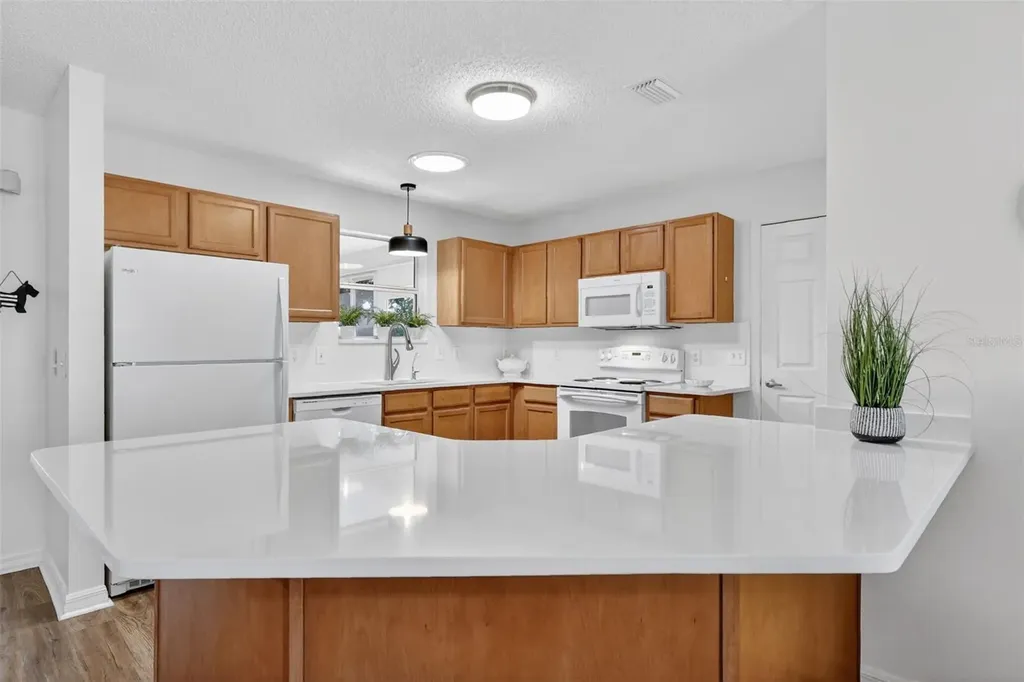 1539 Hollyberry Place The Villages FL 32162