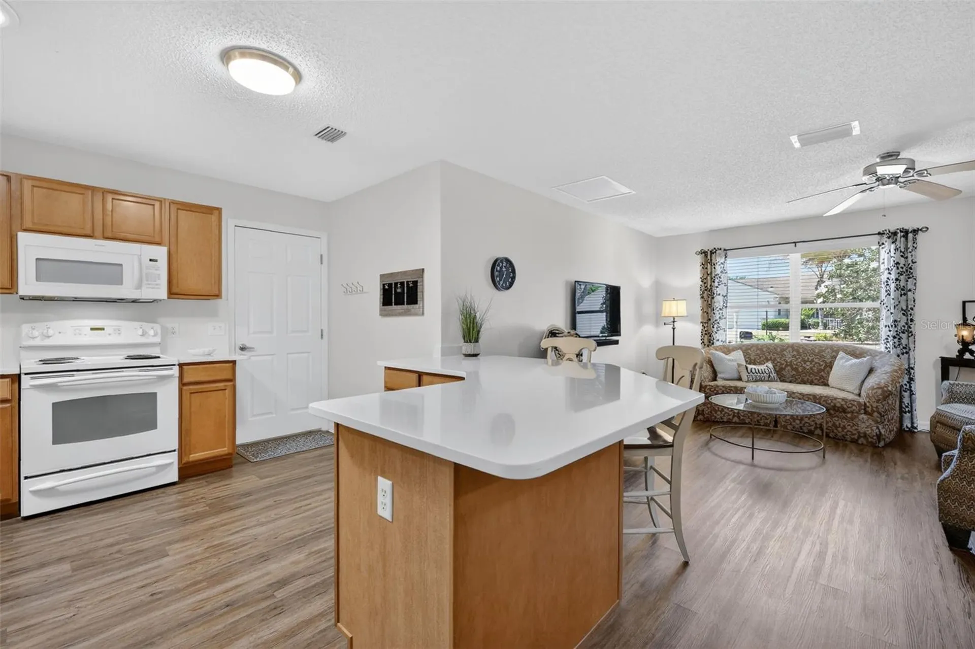 1539 Hollyberry Place The Villages FL 32162