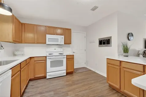 1539 Hollyberry Place The Villages FL 32162