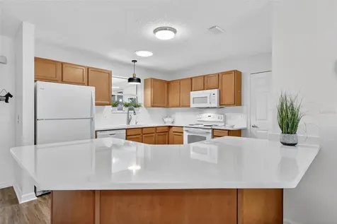 1539 Hollyberry Place The Villages FL 32162