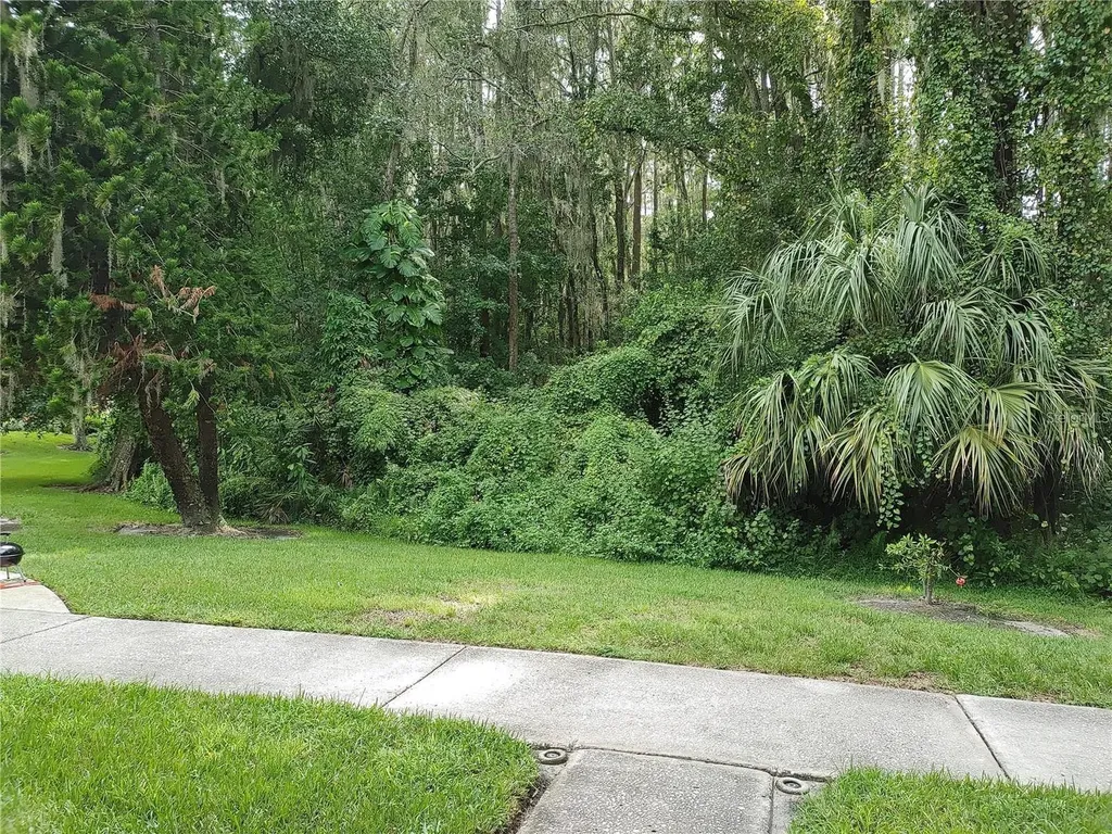 1983 Abrico Drive Lutz FL 33558