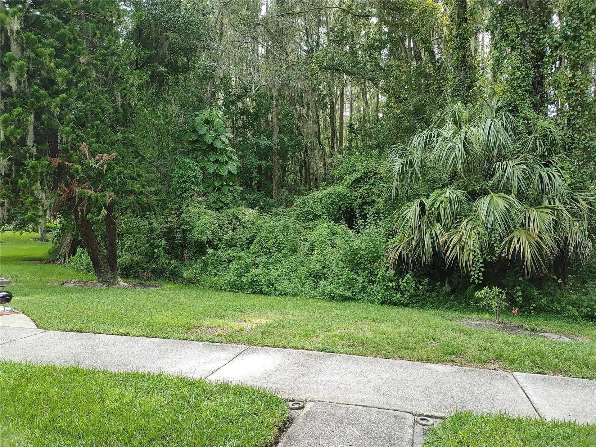 1983 Abrico Drive Lutz FL 33558