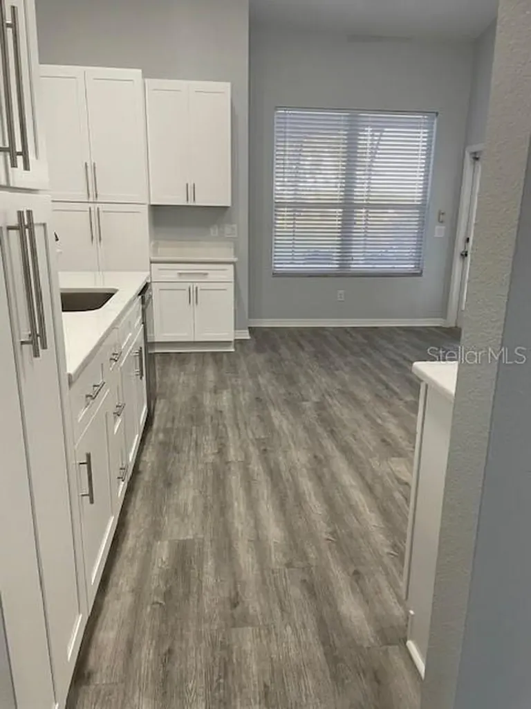 339 Isle Of Sky Circle Orlando FL 32828