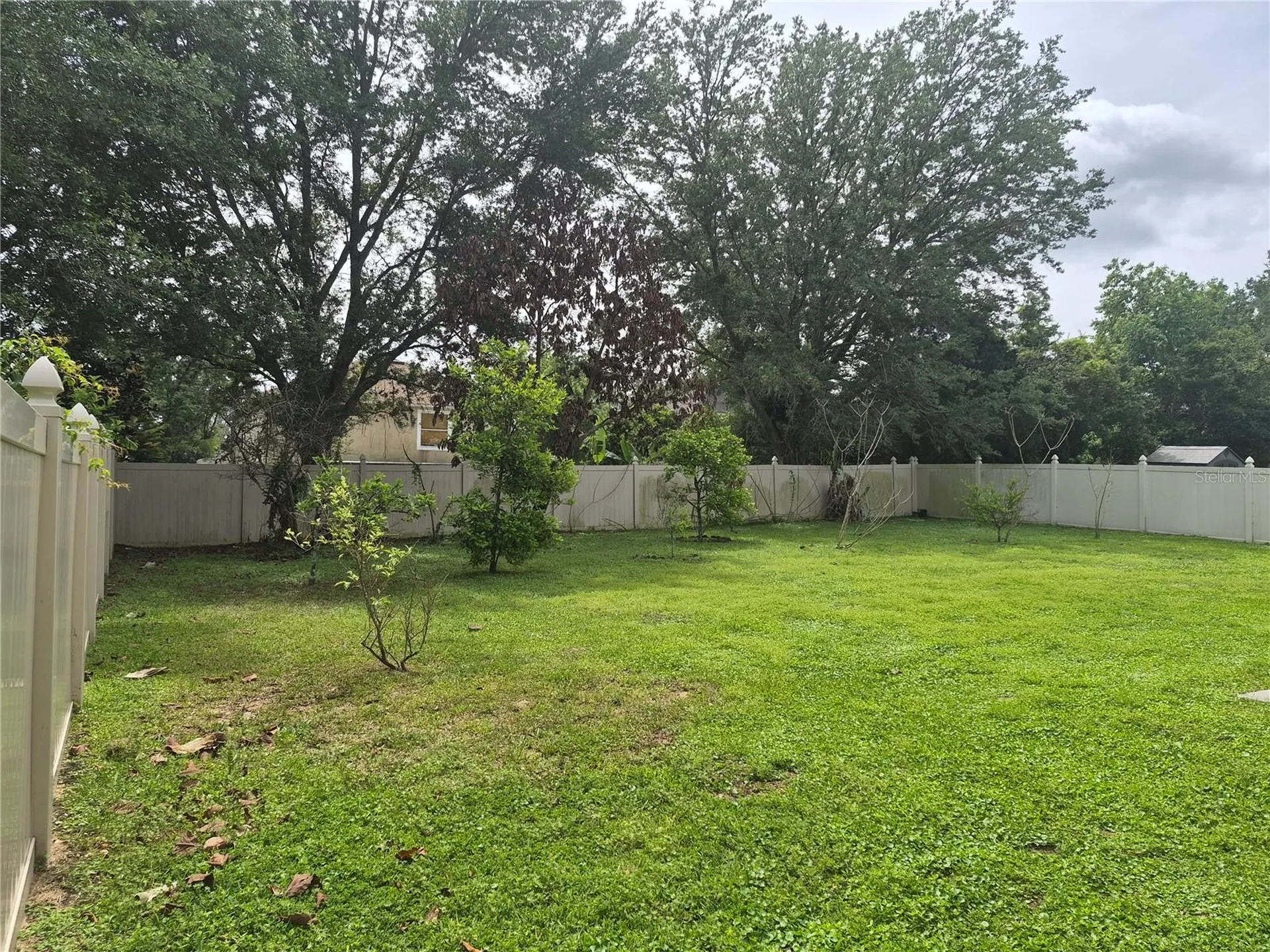 2554 Palmetto Ridge Circle Apopka FL 32712