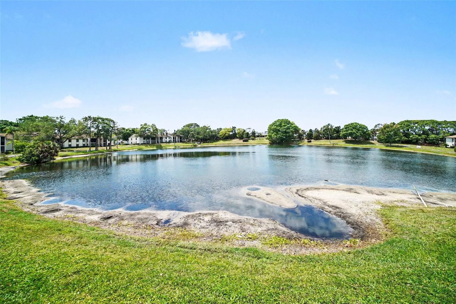 1870 Pine Ridge Way W Palm Harbor FL 34684