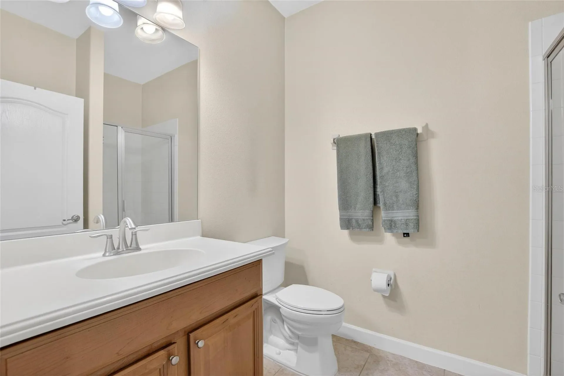 13344 Graham Yarden Drive Riverview FL 33579