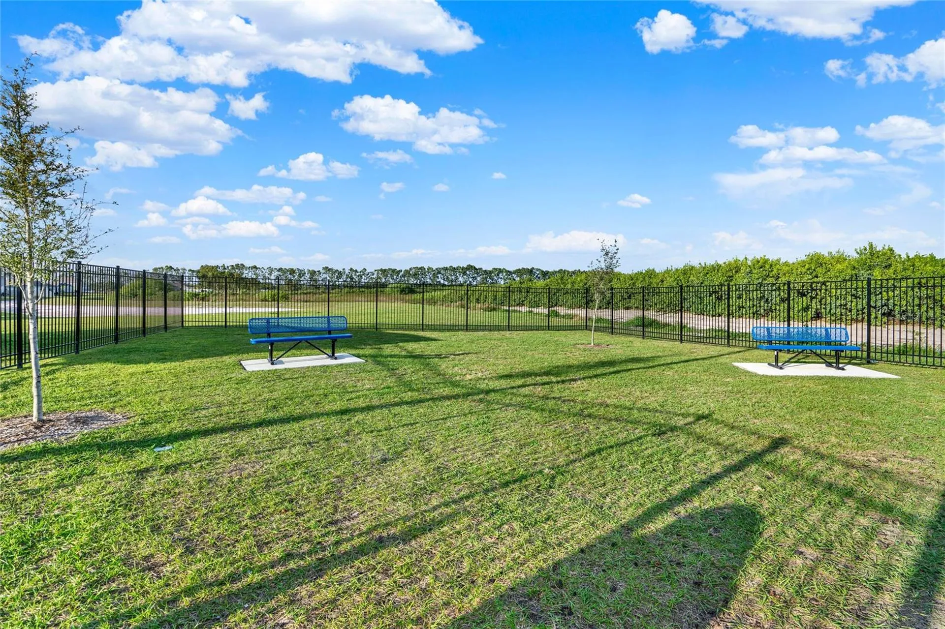 1993 Sarah Street Winter Haven FL 33884