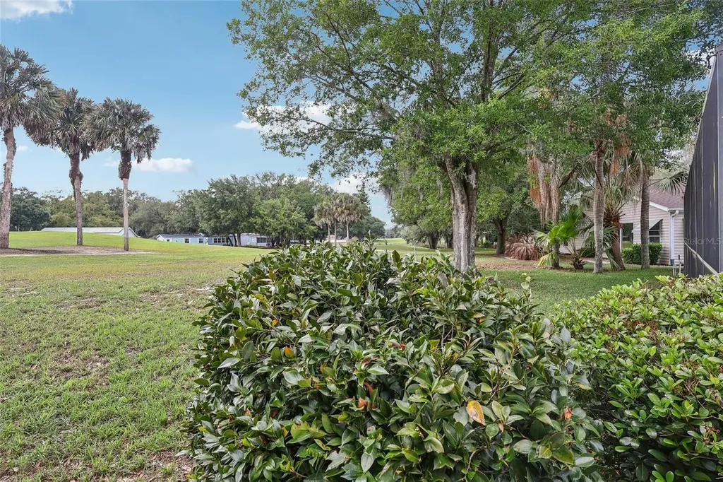 25723 Belle Alliance Leesburg FL 34748