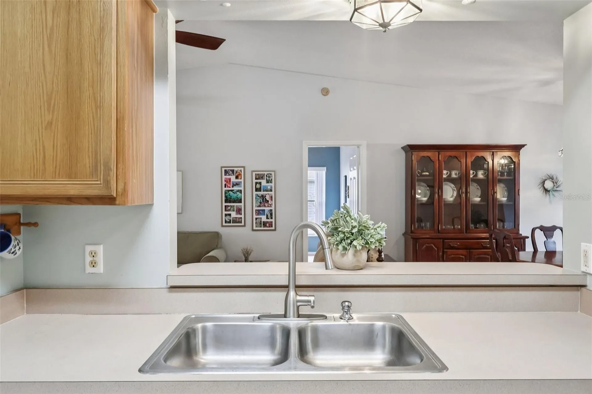 25723 Belle Alliance Leesburg FL 34748