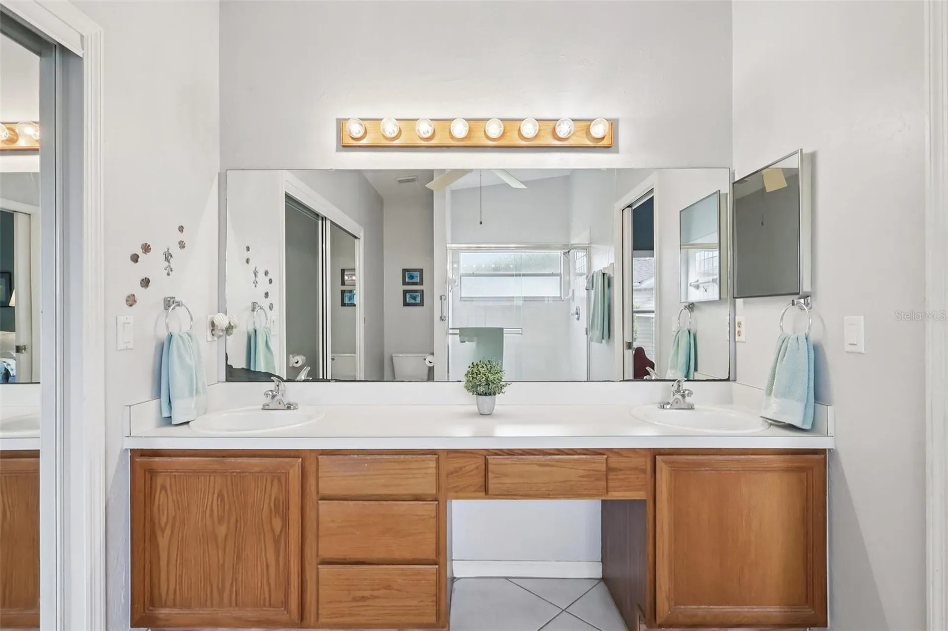 25723 Belle Alliance Leesburg FL 34748