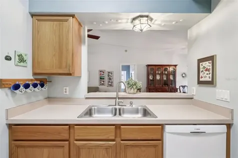 25723 Belle Alliance Leesburg FL 34748