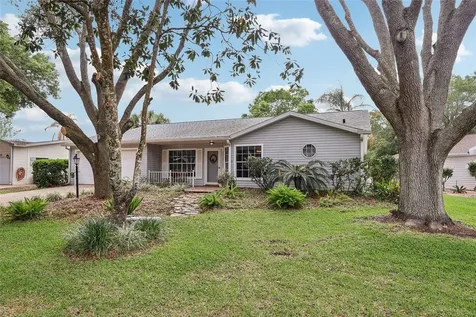 25723 Belle Alliance Leesburg FL 34748