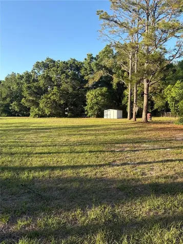 31639 Stirrup Lane Wesley Chapel FL 33543