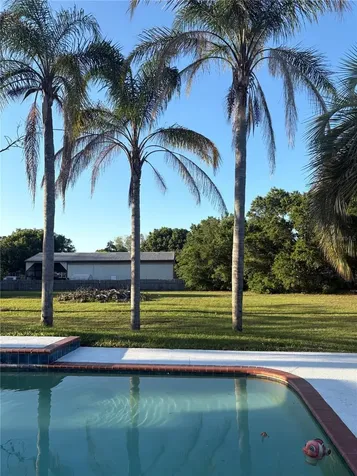 31639 Stirrup Lane Wesley Chapel FL 33543