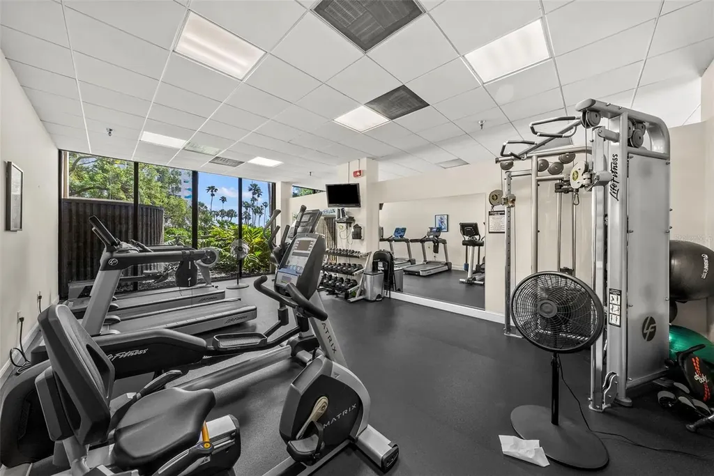 2413 Bayshore Boulevard Tampa FL 33629