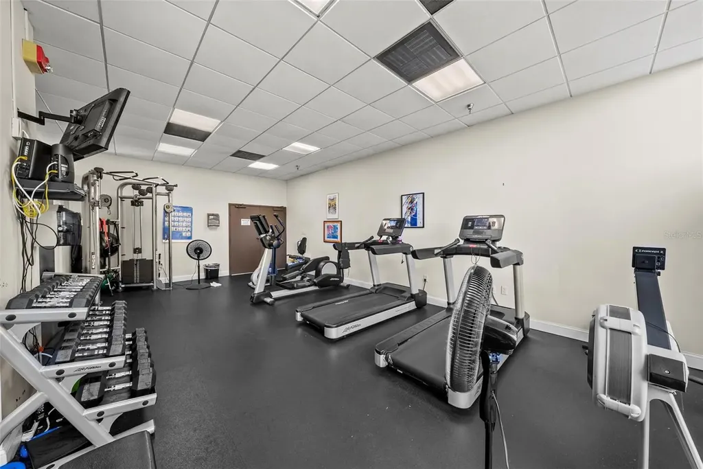2413 Bayshore Boulevard Tampa FL 33629