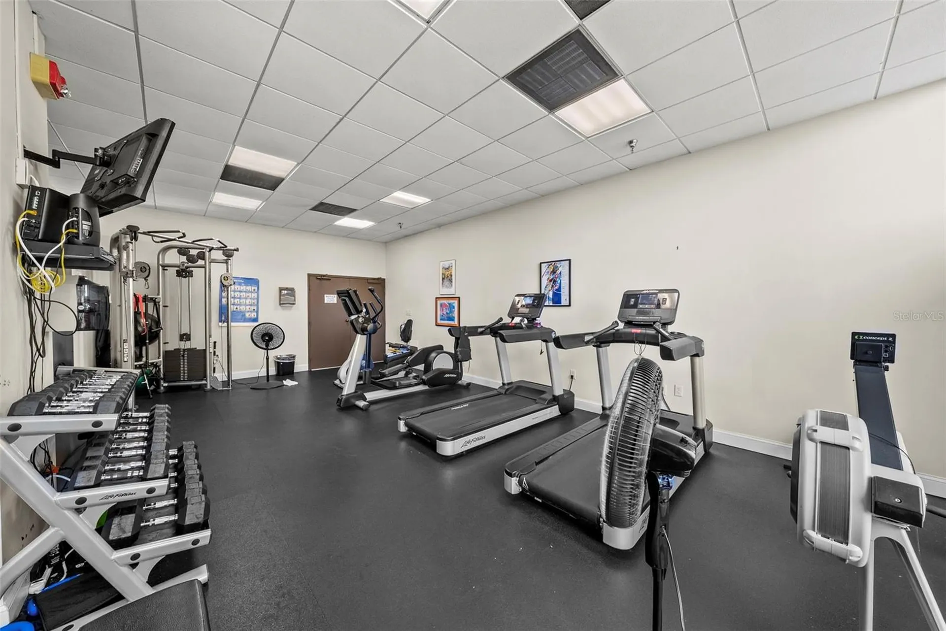 2413 Bayshore Boulevard Tampa FL 33629
