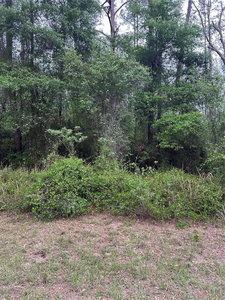 6265 N Allston Terrace Dunnellon FL 34433