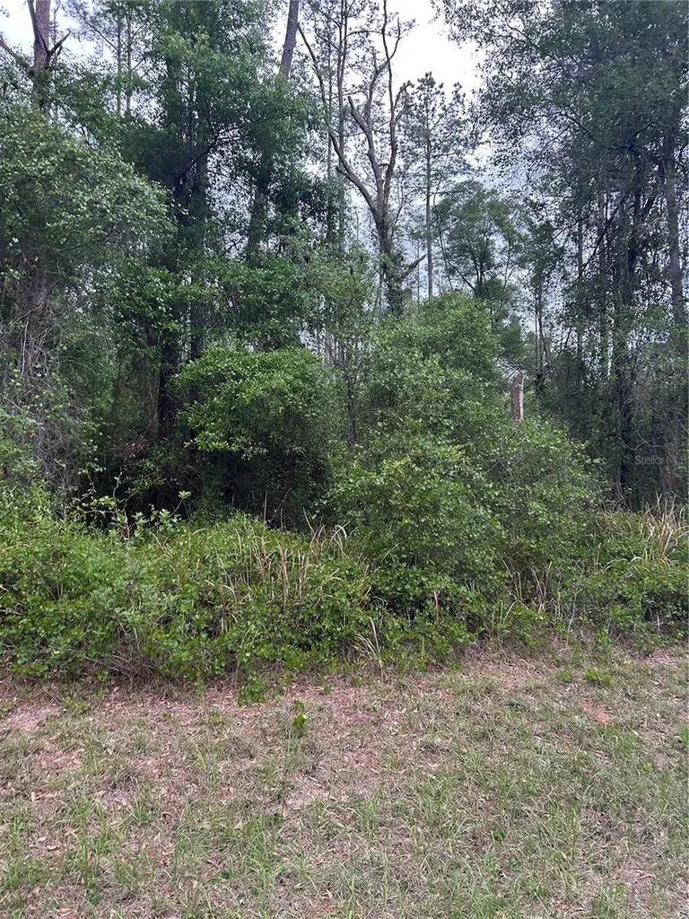 6265 N Allston Terrace Dunnellon FL 34433