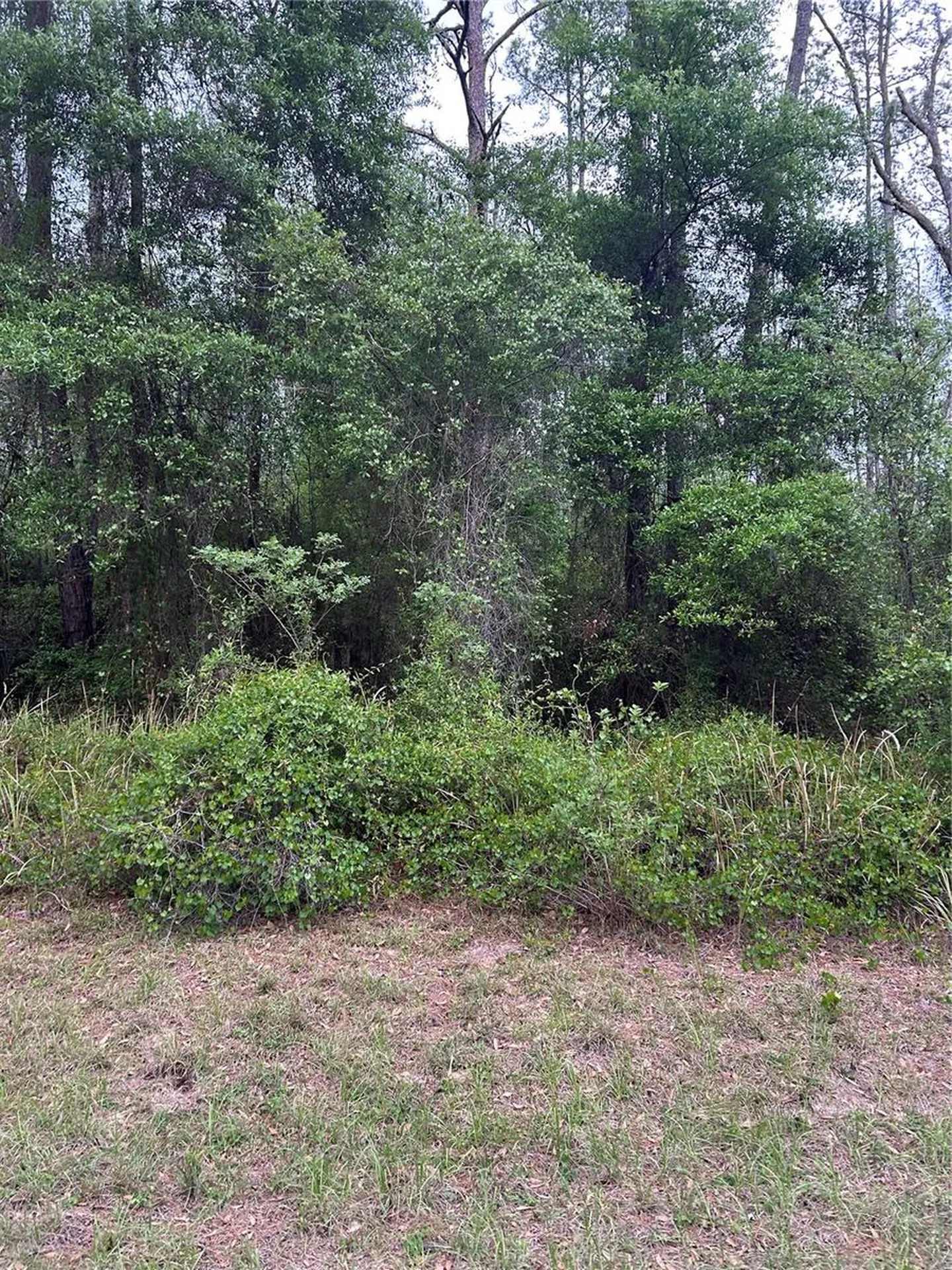 6265 N Allston Terrace Dunnellon FL 34433