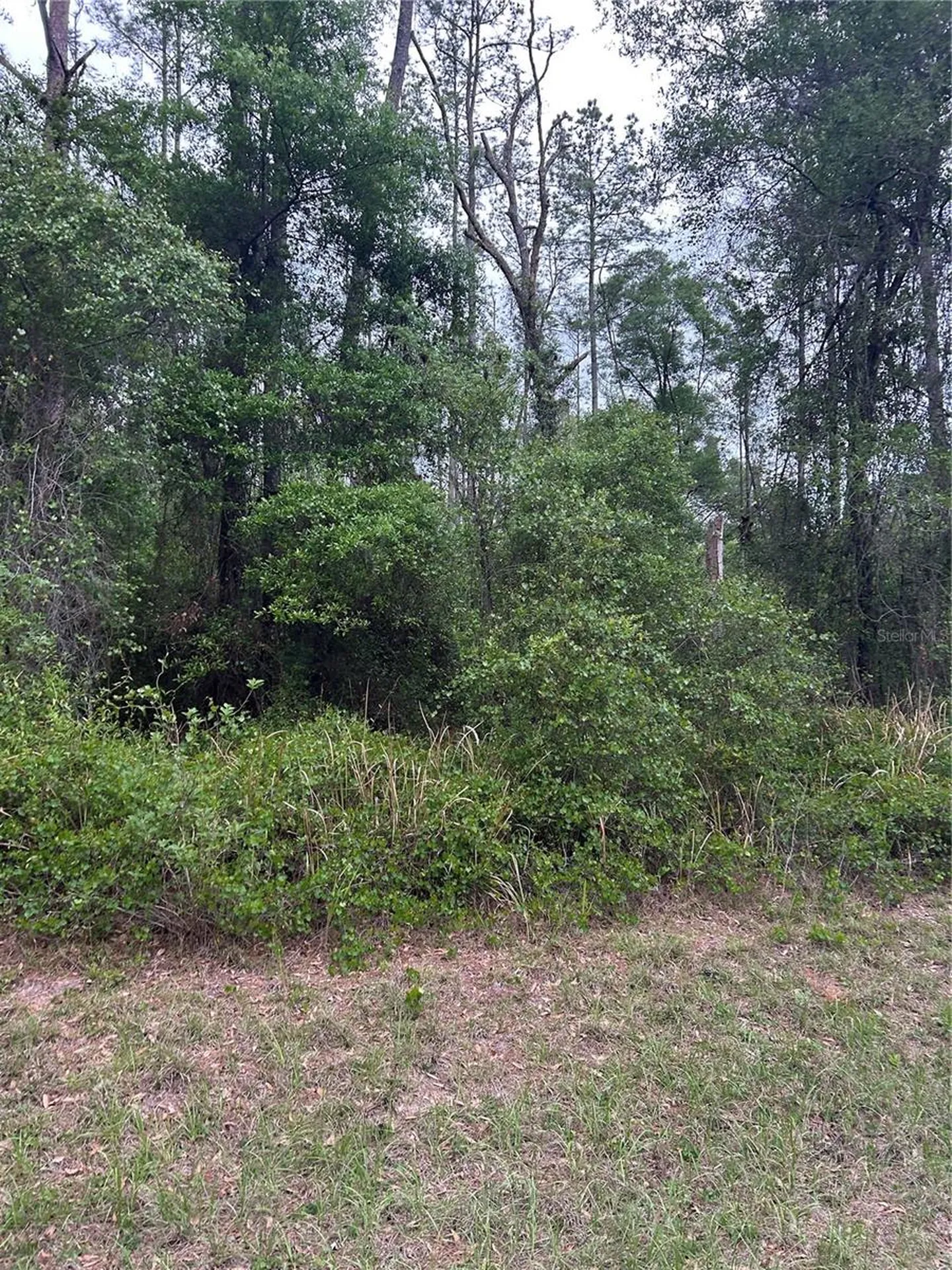 6265 N Allston Terrace Dunnellon FL 34433