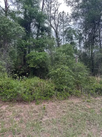 6265 N Allston Terrace Dunnellon FL 34433