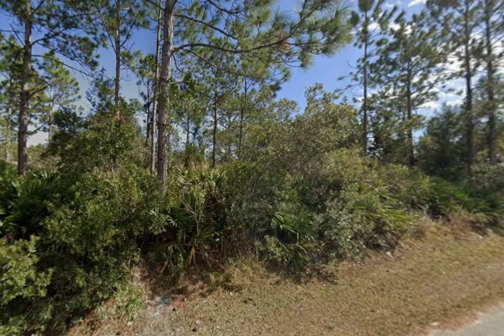 25 Ulmaceal Path Palm Coast FL 32164