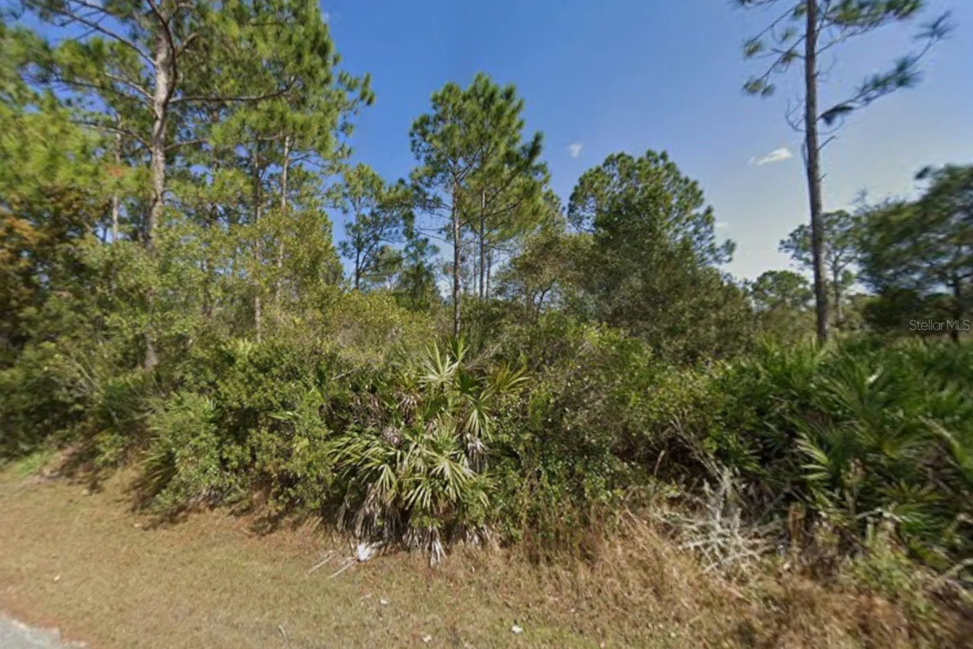 25 Ulmaceal Path Palm Coast FL 32164