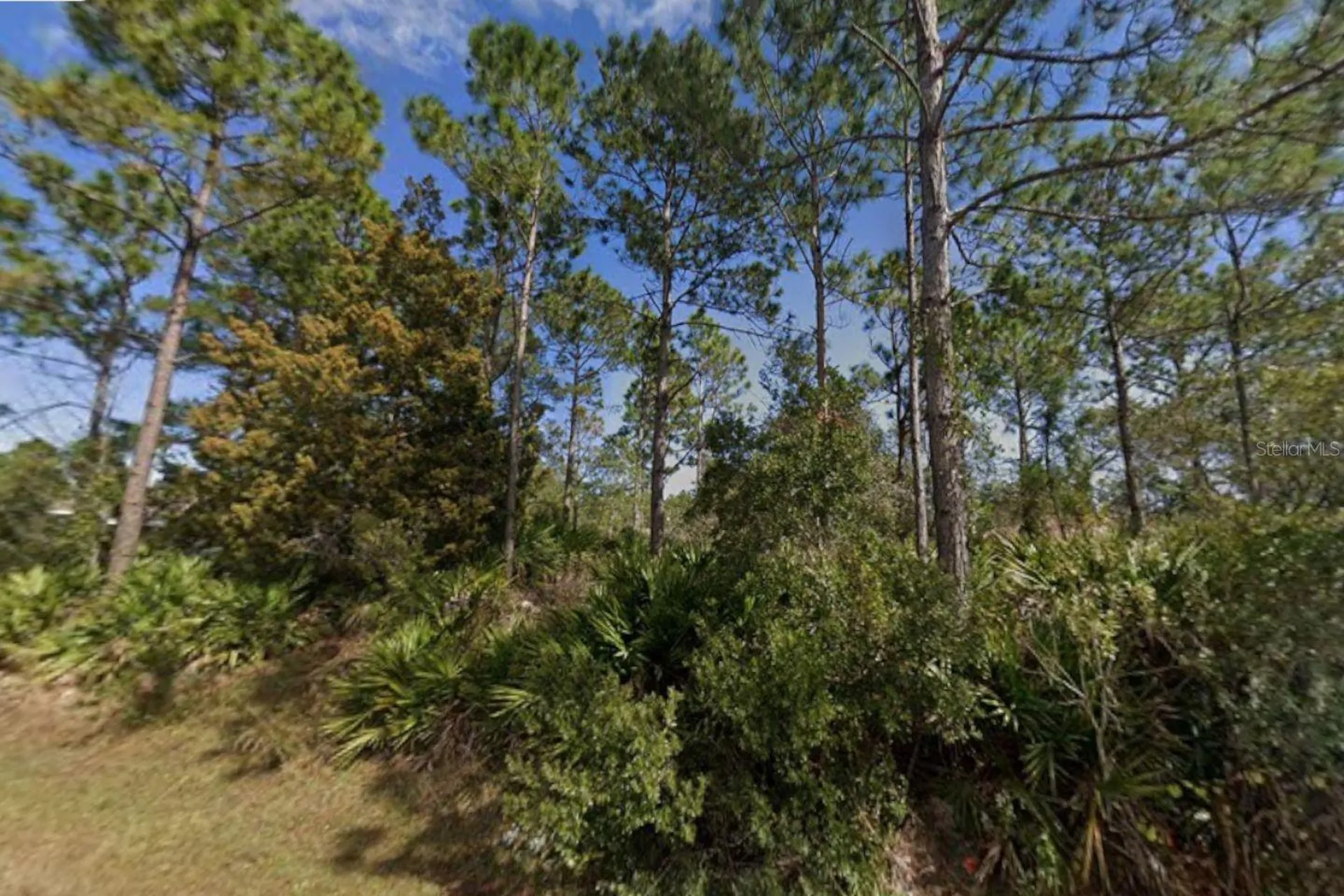 25 Ulmaceal Path Palm Coast FL 32164