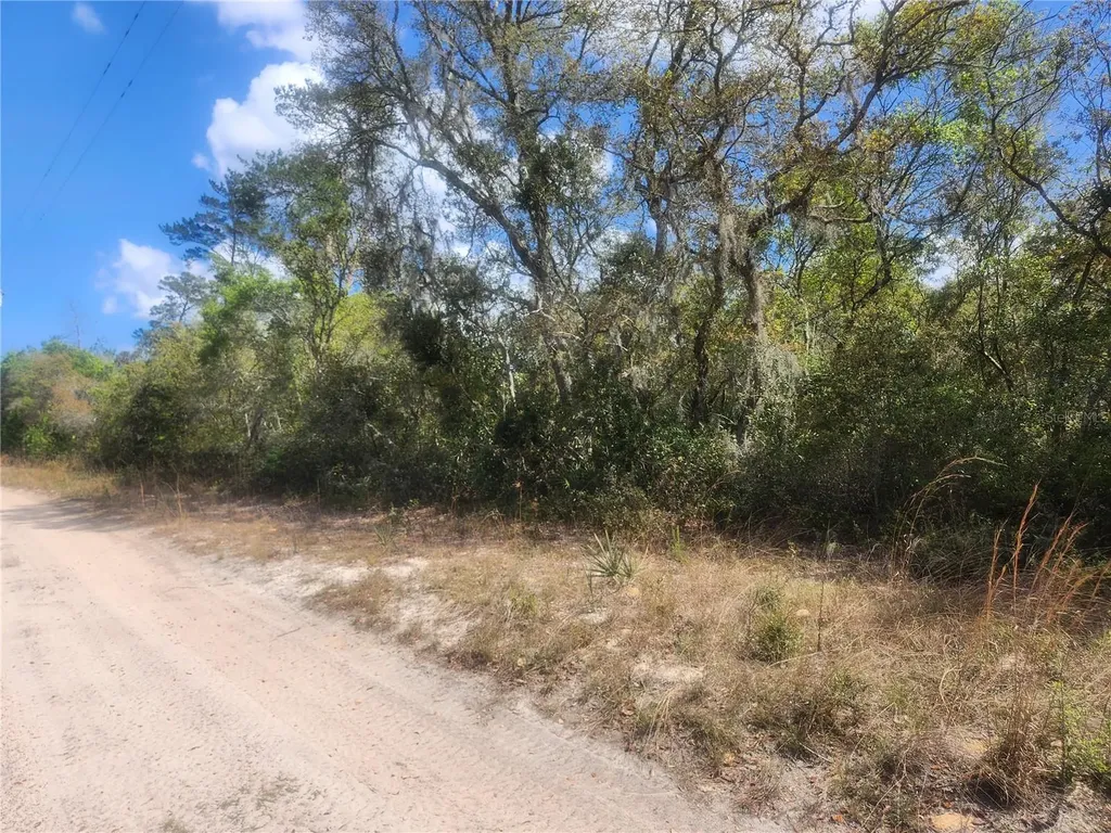Tbd NE 236 Lane Orange Springs FL 32182