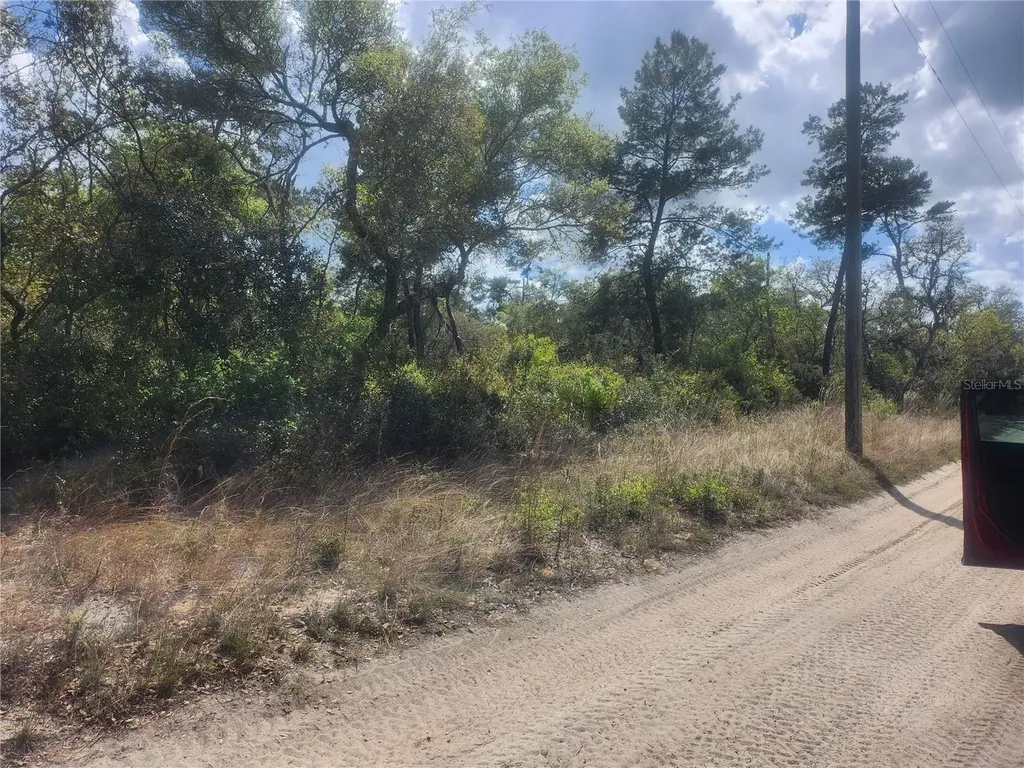 Tbd NE 236 Lane Orange Springs FL 32182