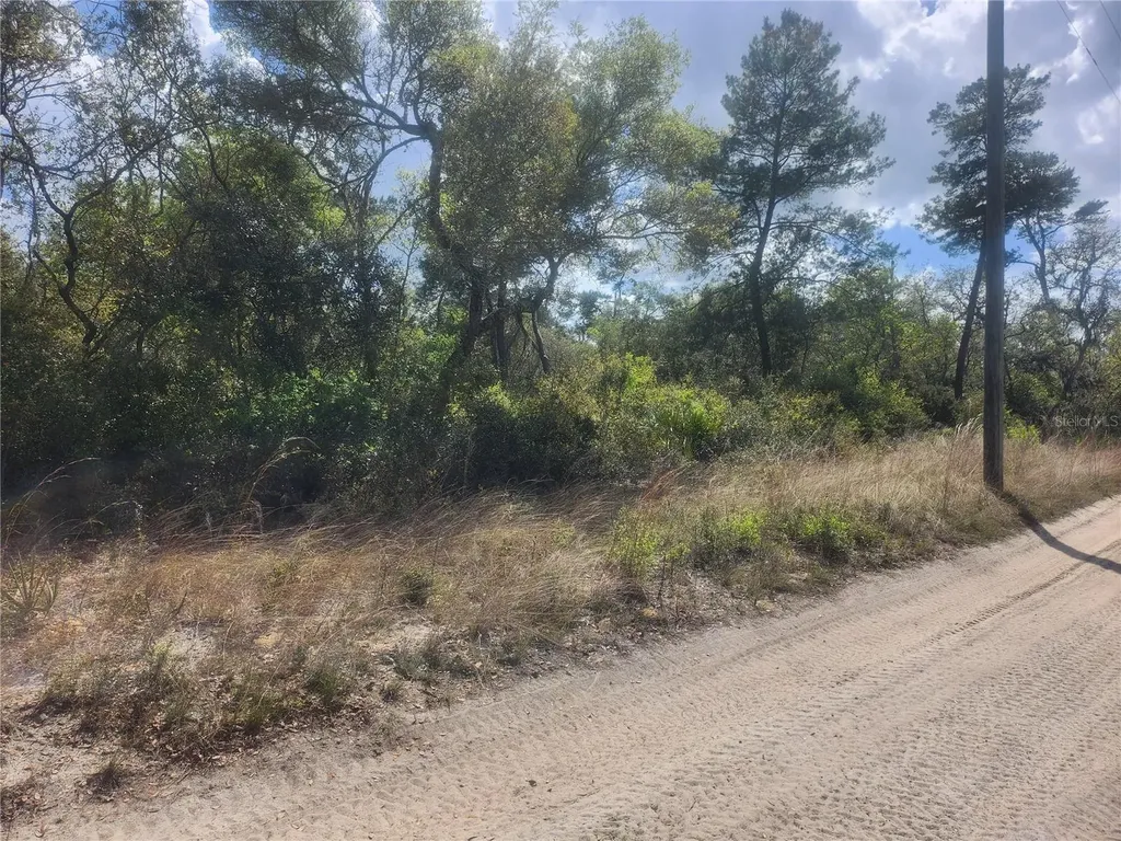 Tbd NE 236 Lane Orange Springs FL 32182