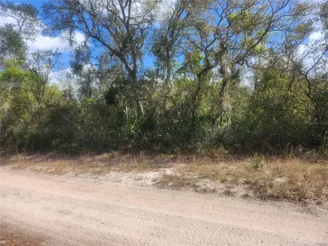 Tbd NE 236 Lane Orange Springs FL 32182