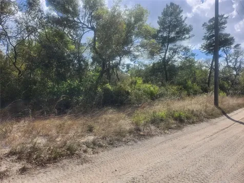 Tbd NE 236 Lane Orange Springs FL 32182