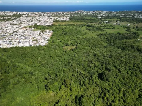 Masiones Del Atlantico Isabela PR 00662