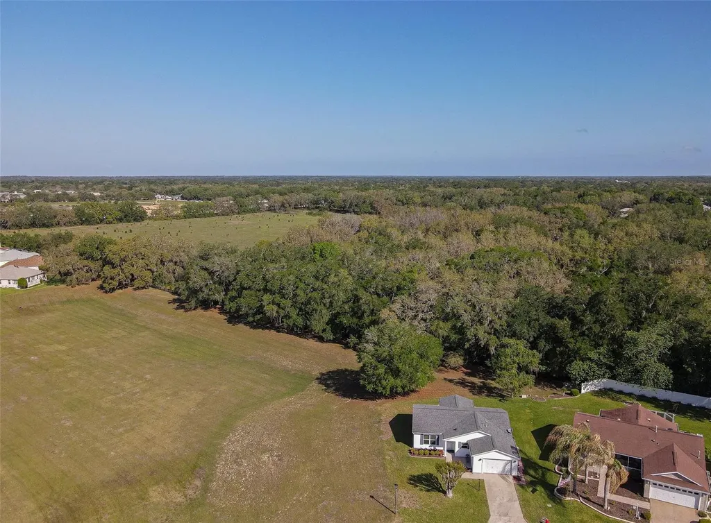 16852 SE 96th Chapelwood Circle The Villages FL 32162