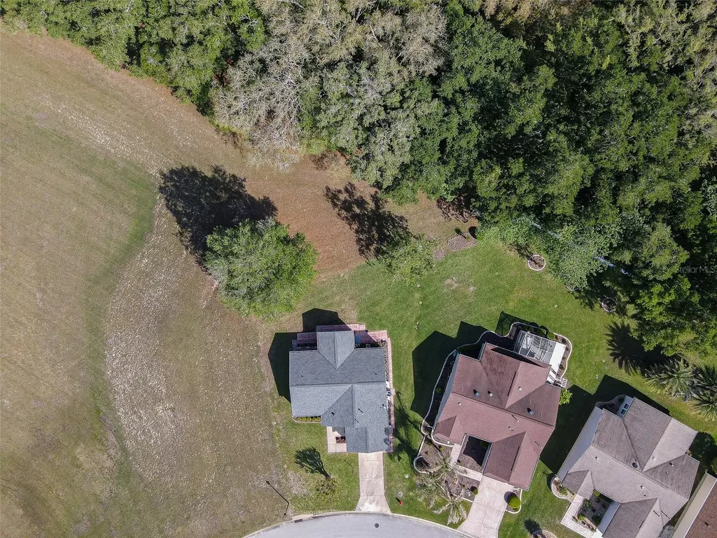16852 SE 96th Chapelwood Circle The Villages FL 32162