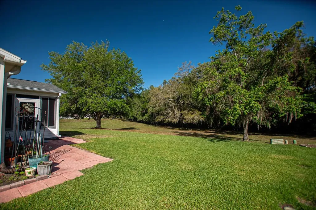 16852 SE 96th Chapelwood Circle The Villages FL 32162