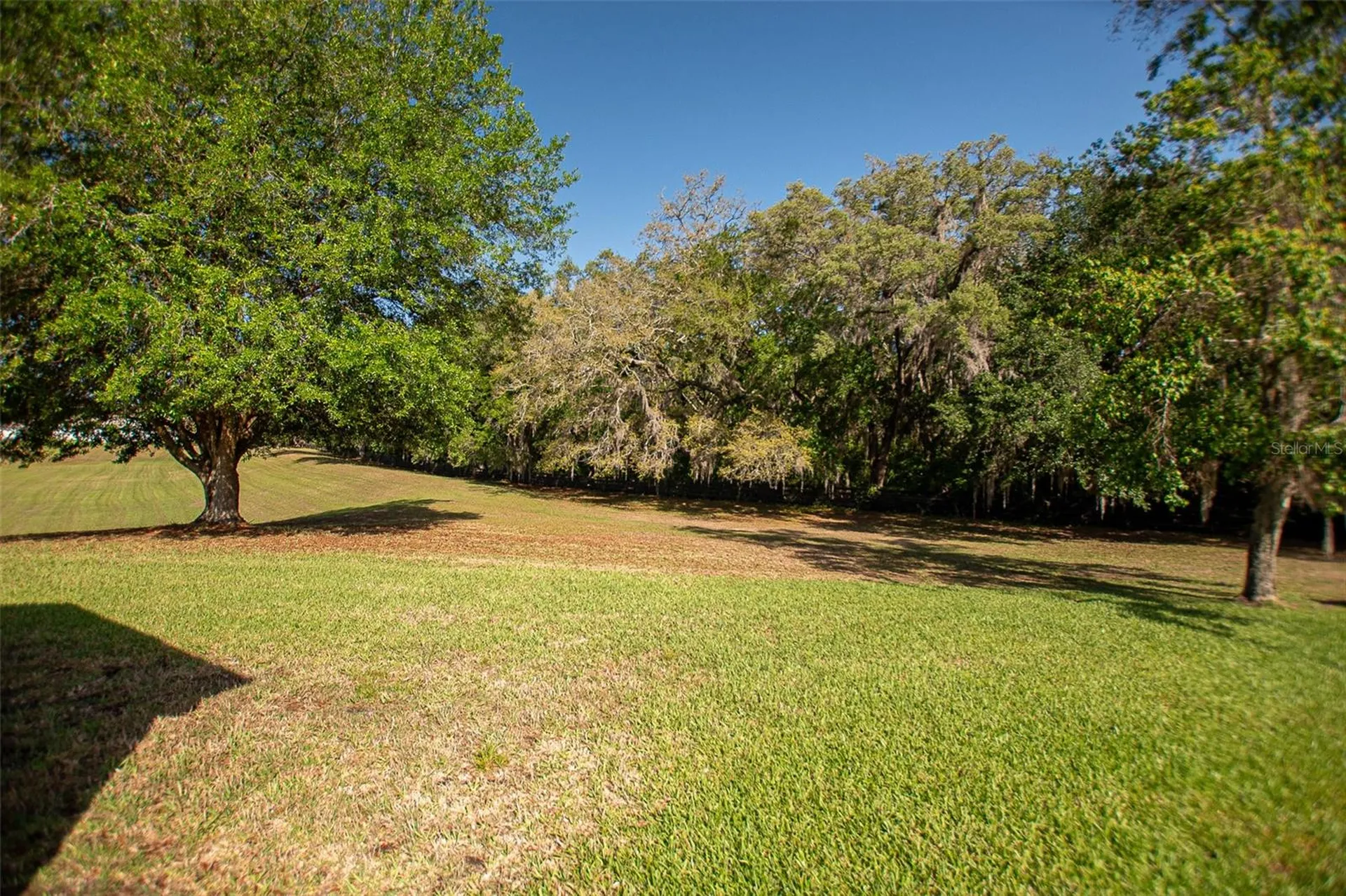 16852 SE 96th Chapelwood Circle The Villages FL 32162