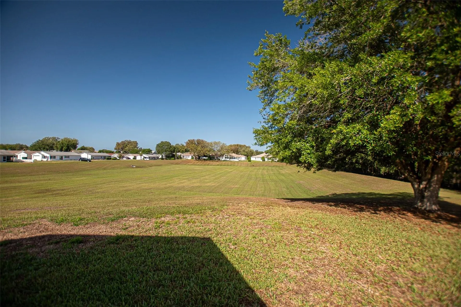16852 SE 96th Chapelwood Circle The Villages FL 32162