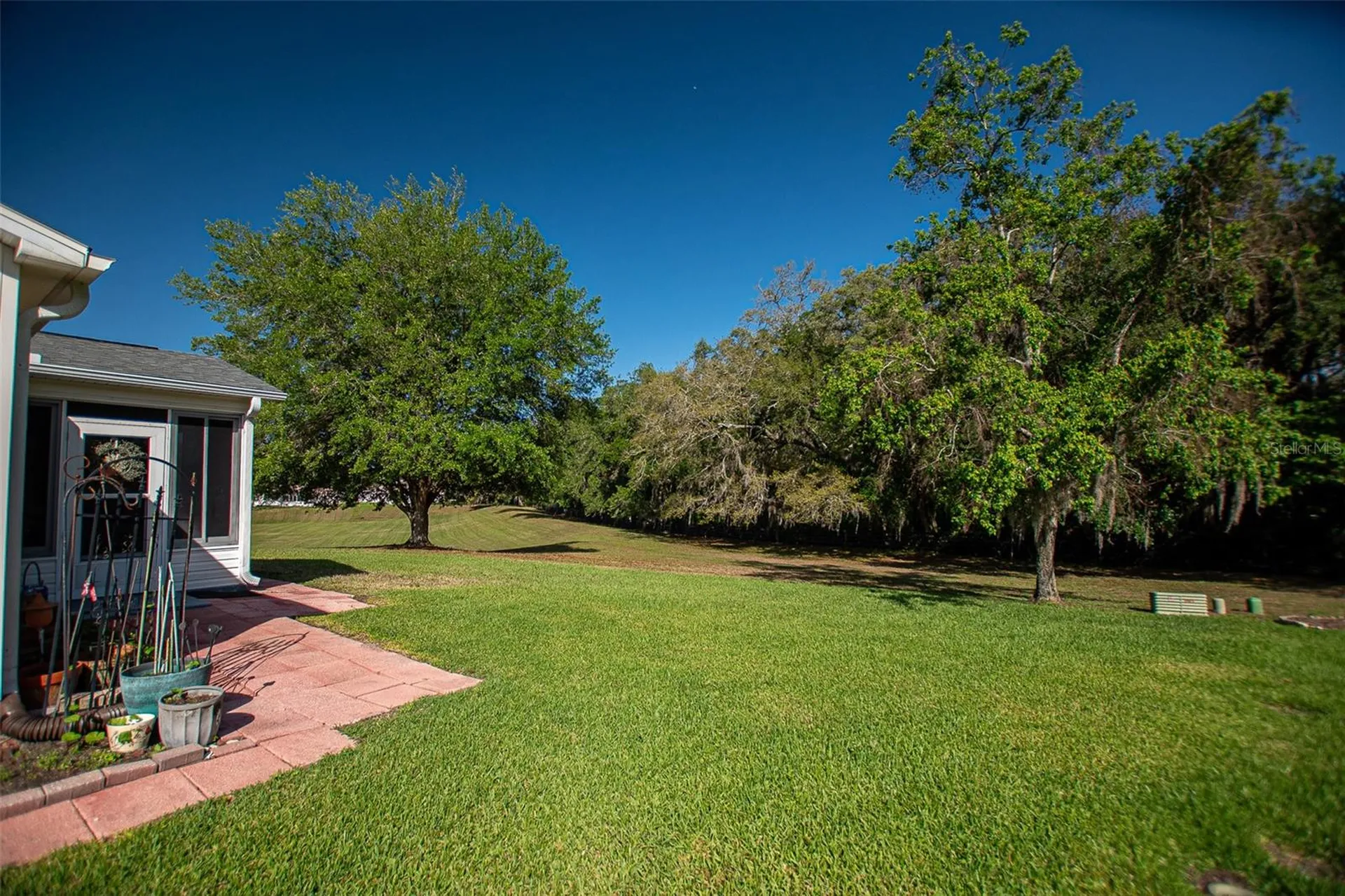 16852 SE 96th Chapelwood Circle The Villages FL 32162
