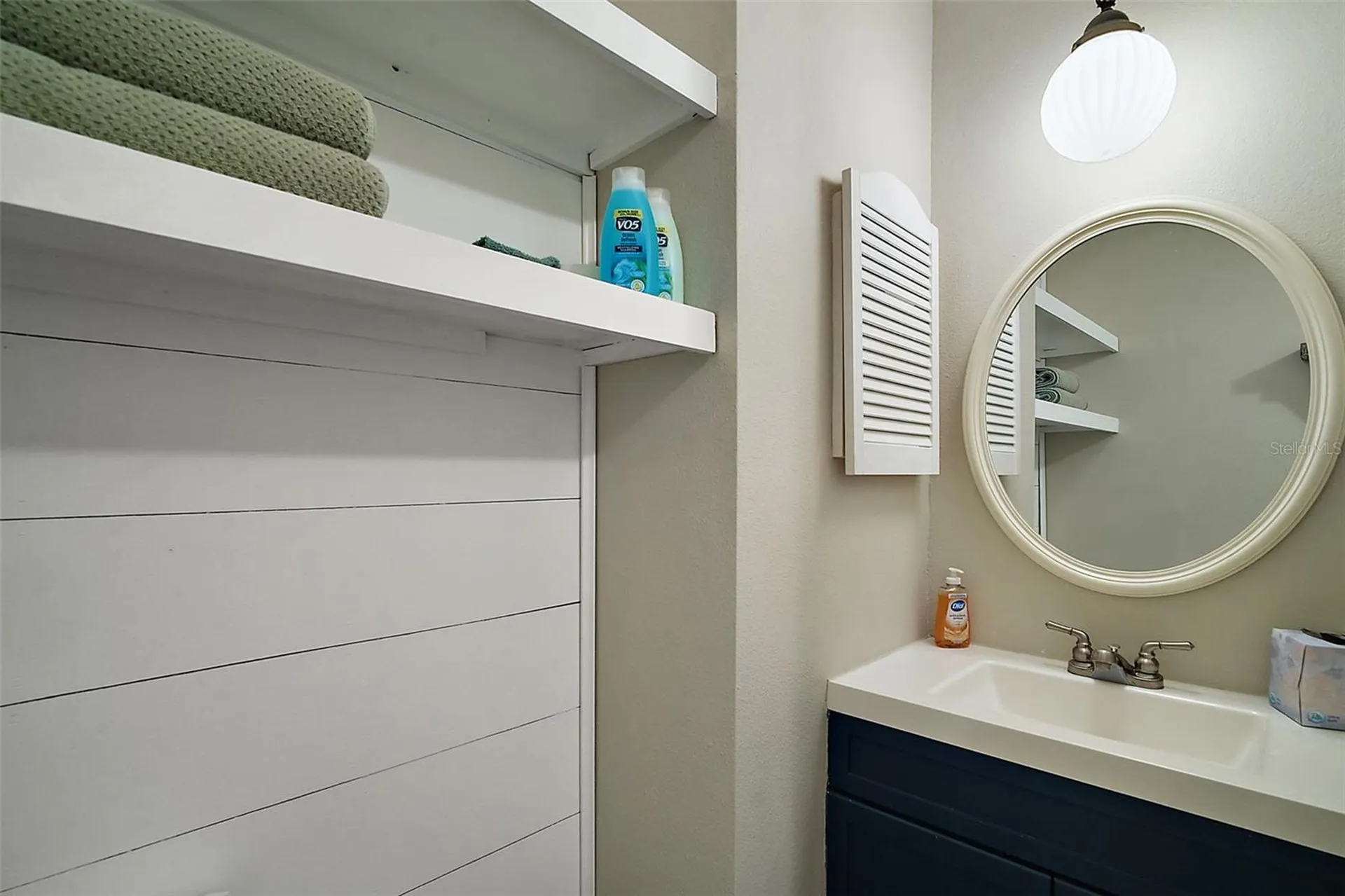 705 Summit Court Mount Dora FL 32757