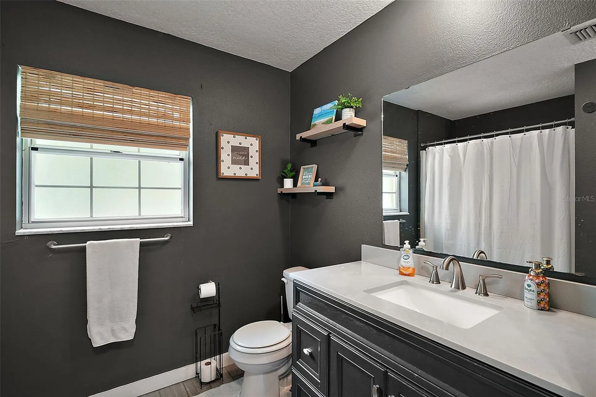 705 Summit Court Mount Dora FL 32757