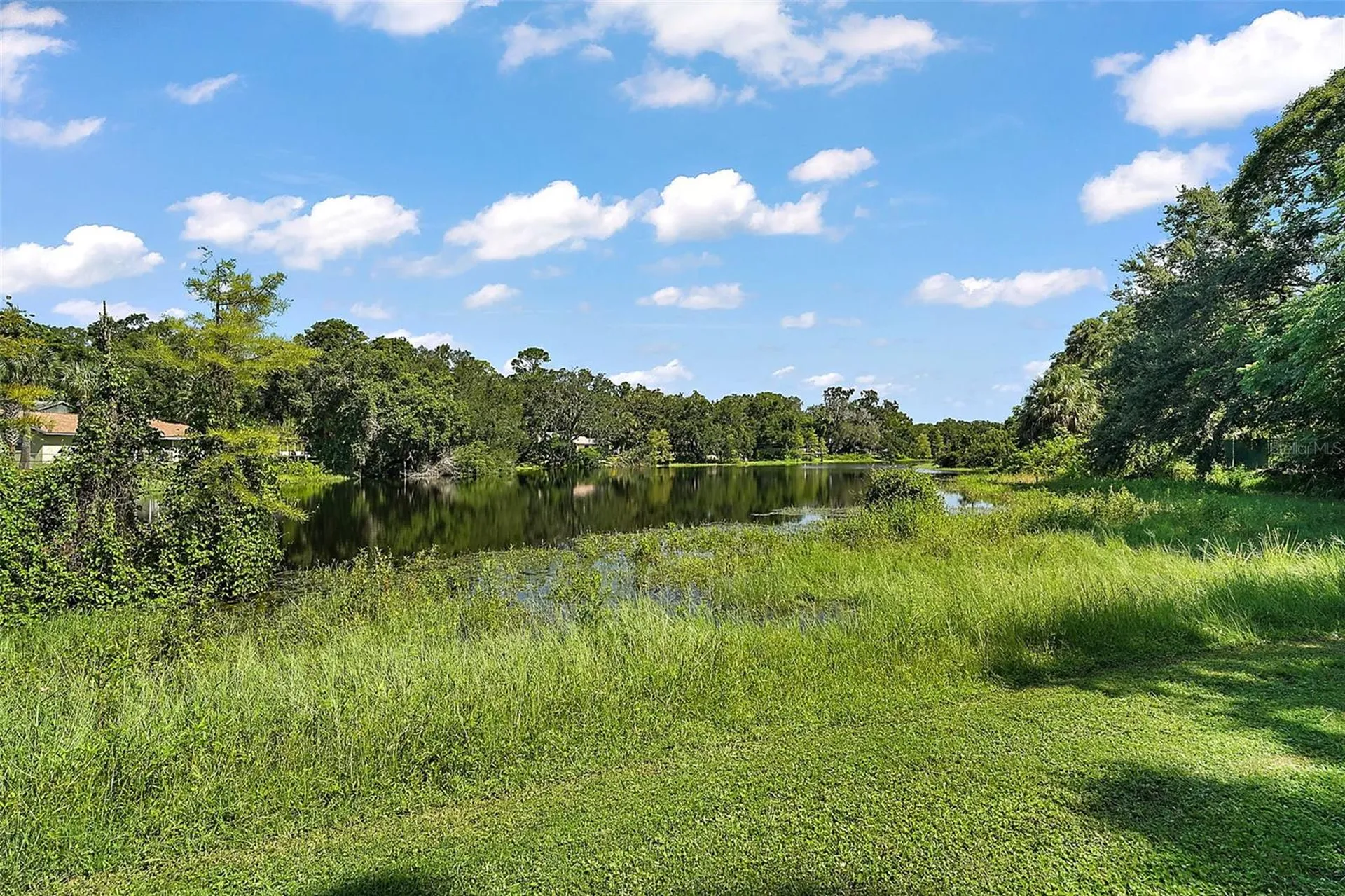 705 Summit Court Mount Dora FL 32757