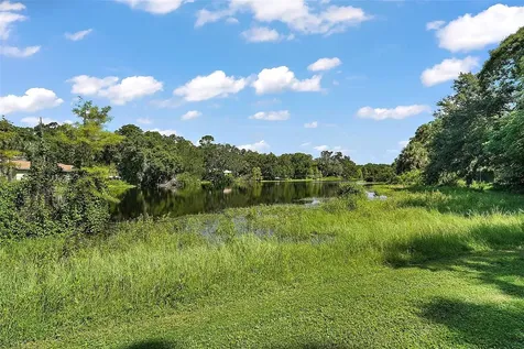 705 Summit Court Mount Dora FL 32757