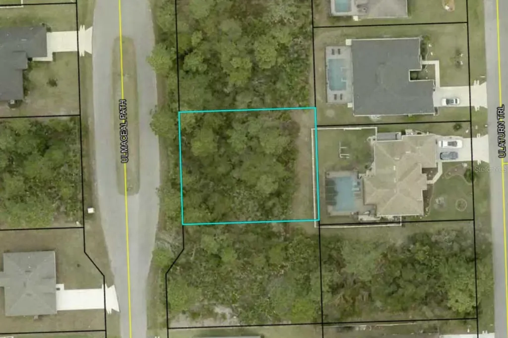 29 Ulmaceal Path Palm Coast FL 32164